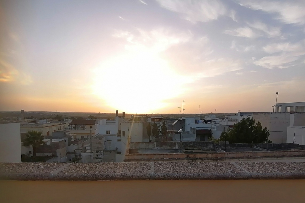 19 vista.jpg